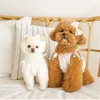 Bröllopsklänning kort typ hund kjol spets klänningar katt yorkshire chihuahua terrier corgi pudel pomeranian bichon valp kostym