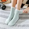 Coral Velvet Thick Towel Socks Lady Winter Warm Fluffy Adult Candy Color Floor Sleep Fuzzy Socks Girls Stockings 2pcs/pair CCA11917 73 Y2