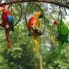 Pastorski żelazny pierścień Parrot Parrot Wising rzemiosło Outoor ogrodowe wyposażenie ogrodu Ozdoby Ozdoby dziedzińce willa figurki dekoracja sztuka H8067139