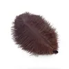 100pcs vita strutsfjädrar plumes 25-30cm diy smycken gör bröllop hem dekoration hantverk tillbehör nålverk plumas bord centerpieces