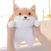 1pc Lovely fat shiba inu corgi hund plysch leksaker fylld mjuk kawaii djur tecknad kudde dockor gåva för barn baby barn y211119