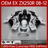 Kawasaki Ninja EX250 ZX250 R EX için OEM Gövdesi ZX 250R ZX-250R 2008-2012 81NO.2 EX-250 ZX250R 2008 2009 2010 2011 2012 EX250R 08 09 10 11 12 Enjeksiyon Perşembe Parlak Beyaz