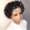 Lace Wigs Short Jerry Curly Pixie Cut Cheveux humains pour les femmes Fermeture malaisienne Pré plumé Deep T Part Remy