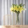 Nordic Lantern-shaped Iron Art Glass Vase Gold Plated Flower Vase Tabletop Vase Flower Pot Home Wedding Decoration 210623