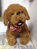 50pc/lot Dog Apparel Handmade Adjustable Ties Pet Bow Ties Cat Neckties Grooming Supplies P02