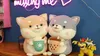 New Akita Wholesale Gifts popular Dog Plush Toy Doll Cute Large Shiba Inu Sleeping Pillow Tea Cup Doll Milk Cups Muppet baby children soft