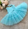 Girl039s Abiti Principessa Baby Dress Per ragazze nate Tutù di tulle 1 ° compleanno Abito da battesimo Infantile Bambino 1 2 anni Battesimo Pa5433416