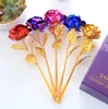 newArtificial Long Stem Flower 24k Gold Foil Plated Rose Gifts for Lover Wedding Christmas Valentines Mothers Day Home Decoration EWE6059