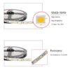 LED 스트립 조명 5050 SMD 따뜻한 화이트 레드 그린 블루 RGB 5M 롤 300 LED 리본 비 방수 DC12V 60LEDS / M 유연한 RGBW 홈 장식 파티 분위기 램프