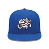 Boné de beisebol ajustável bordado Omaha Storm Chasers Snapback Hat6915792