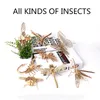 Houten insecten dieren 3D puzzel diy assemblagemodel vlinder honingbij libel deetle deetle grasshopper mantis cicada scorpion handmad6089012