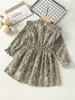 Toddler Girls Allover Print Forilled Shirred Taille Flounce Sleeve Dress She