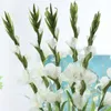 Nowy Długie Symulacja Kwiatu Gladiolusa Kwiat Ślubny Kwiat Sztuki Okno Wazon Strona główna Kwiat Układ Land 6 Gladiolus