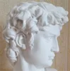 David Head Portraits Bust Bust Gypsum Statue Michelangelo Buonarrarroti Скульптура Домашний декор Ремесло Эскиз практики L1239 54 S2