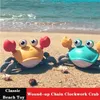 crab bath toy