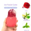 Face Roller Gua Sha Ice Massager Strumenti per la cura della pelle Cubo facciale Capsule Box Rimuovi le linee sottili Riduci i pori Riduci l'acne