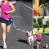2021 أعلى جودة نظام الأصدقاء الجديد الأيدي الحرة النايلون كلب المقود الرصاص الجري الركض التنزه التدريب المشي للكلاب 7 ألوان