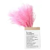 Decoratieve bloemen kransen 20 stks roze witte kleur natuurlijke gedroogde pampas gras bruiloft bloem bos Pasen huisdecoratie eeuwige boeket