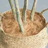 装飾的な花の花輪の花輪のココナッツの殻繊維の蘭の工芸品ペット寝具昆虫保護植物は土壌温度を維持する