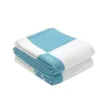 Cashmere blanket Blanket fleece towel Travel Winter Cashmere Scarf Shawl Warm Everyday Blankets Large 140*170CM