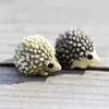 Mignon Mini Résine Hérisson Micro Paysage Miniature Fée Animal Moss bouteille Plantes Succulentes pot décoration accessoires écologiques résine artisanat DH9585