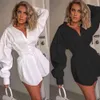 Women's Blouses & Shirts Autumn Long Sleeve Solid Lapel Shirt Mini Dress Casual Loose Tops Blouse