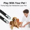 Penna puntatore laser 5MW Divertente giocattolo per cani e gatti Forniture per conferenze per l'insegnamento di campeggio all'aperto Forniture per animali domestici