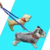 Hundhalsar kopplar husdjurskatt som kör jogging vadderad midjebälte reflekterande strip elastisk koppel perfekt promenad träning sethund