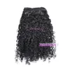 VMAE brasiliansk jungfruhår afro lockigt kinky rak 3A 3B 3C 4A 4B 4C Clip Ins Natural Black Human Hair Clip in Extensions