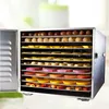 10 Trays large Food Dehydrator Pet Snacks Dehydration Dryer Fruit Vegetable Herb Meat Drying Machine Stainless Steel CE