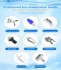 Professionelles Hydra-Wasser-Peeling-Mikrodermabrasionsgerät für die Hautpflege, RF-Bio-Lifting-Jet-Peeling-Hydrodermabrasions-Sauerstoff-Gesichtsgerät mit CE
