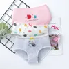 3pcs \ Pack Briefs Kids Mode Baby Flickor Underkläder Gulliga Hedgehog Panties för Toddler Girl Pineapple Print Shorts Teen Underbyxor 210622