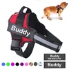 custom dog harness