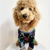 Färgglada Stripe Letter Dog Sweaters Höst Vinter Varm Utomhusvalp Tröja Fransk Bulldog Designer Pet Apparel