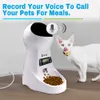3L Automatic Dog Cat Feeder Pet Alimentazione cibo Dispenser con vocale Record Pet Dog Cat Bere Bere Ciotola LCD Schermo LCD Schermo Secco Ciotole per alimenti Y200922
