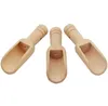 500pcs Mini Wooden Scoops Bath Salt Powder Detergent Powder-Spoon Candy Laundry Tea Coffee Spoons Eco Friendly Wood Scoop SN2700