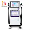 2021 Alice Small Bubble Beauty Machine 7in 1 Microdermabrazja Tlenowa Tlen Aqua Jet Peel Bighthead Usuwanie skóry Pielęgnacja