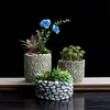 Silicone MOLLD Cement Stone Multi-meat Flower Pots Desktop Pots 3D Vase Mold Concrete Molds Cement Planter Home Crafts Decorate 21232l