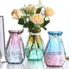 Kreativa transparenta vaser europeisk färg hem glas hydroponisk torkad blomma vas vardagsrum dekoration