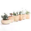 SUN-E 6 en ensemble 3 pouces en céramique motif en bois plante succulente Pot Cactus plante Pot pot de fleur conteneur planteur idée cadeau Y200723329U