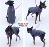 Söt Fleece Djurkläder Enfärgad Varm Hund T-shirt Tröja Hundkläder Höst Vinter Kattväst För Små Medelstora Hundar Sublimering Tomma Husdjur Kläder Partihandel A278