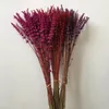Dekorativa blommor kransar 70pcs / 35cm konserverad fräsch lavendel, DIY ETERNELLE flore, bröllop favör blomma väg heminredning. PRESERVED Torkad