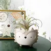 Strongwell Succulent Ceramic Flowerpot Hedgehog Puppy Cute Animal Flower Pot Creative Mini Garden Bedroom Desktop Birthday Gift 210615