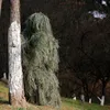 Jaktuppsättningar Camouflage Ghillie Suit Secretive Aerial Shooting Clothes Sniper Passar Kläder för