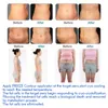 Multifuncional Cryolipolysis Máquinas de Cavitação Vácuo Máquinas de Fat Slimming Beauty Equipamento de Beleza Forma Forma Apertar para Salão Spa Use Manual de Vídeo