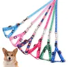 1.0*120cm Dog Harness Leashes Nylon Printed Adjustable Pet Collars Puppy Cat Animals Accessories Pets Necklace Rope Tie Collar SN2584