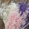 Декоративные цветы венки 60 г естественного свежего дыхания сухой консервации детский цветок DIY сушеный гипсофила букет дома украшения дома