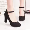 Dress Shoes Women Fashion Flock Pumps Ladies Sweet Thick High Heels Female Ankle Strap Suede Party Casual Footwear