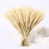 Decorative Flowers & Wreaths 23cm Real Dried Wheat Stalks Natural Flower Bouquet For Wedding Party Home Kitchen Table Decoration DIY Craft S