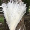 Dekoratif Çiçekler Çelenkler 12 adet / 40 cm Doğa Kurutulmuş, Gerçek Uzun Reed Dal DIY Düğün Favor Evlilik Parti Ev Hediye Kutusu Çiçek Decora